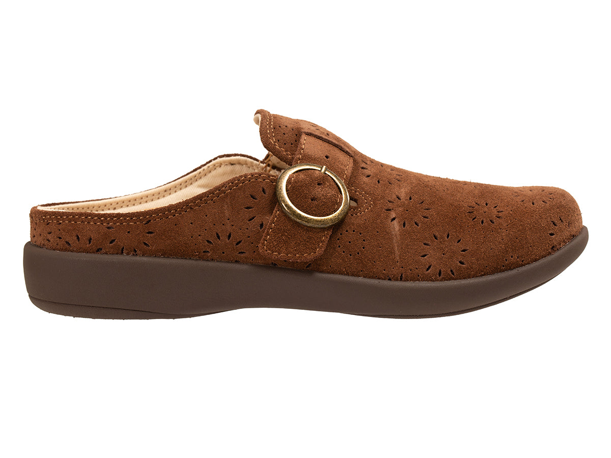 Siesta Eclipse